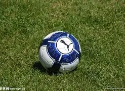 双色球奇缘,揭秘,期折耳猫双,上海体彩,上海体彩网,上海体彩网官网,体育彩票,体彩大乐透,竞彩足球,体彩公益