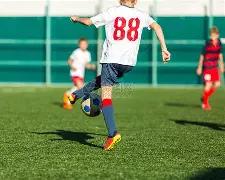 红牡丹独门,秘籍,大乐透,上海体彩,上海体彩网,上海体彩网官网,体育彩票,体彩大乐透,竞彩足球,体彩公益