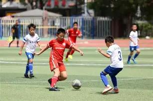 彩界璀璨之,双色球第,期深度解析,上海体彩,上海体彩网,上海体彩网官网,体育彩票,体彩大乐透,竞彩足球,体彩公益