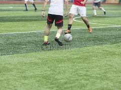 奇数盛宴,揭秘大乐透,期追加神预,上海体彩,上海体彩网,上海体彩网官网,体育彩票,体彩大乐透,竞彩足球,体彩公益