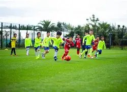 年双色球第,期专家红球,胆推荐分析,上海体彩,上海体彩网,上海体彩网官网,体育彩票,体彩大乐透,竞彩足球,体彩公益