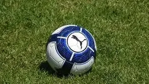 【双色球奇缘】揭秘2025145期折耳猫双色球独家定胆技巧，冲刺大奖，携手共进！