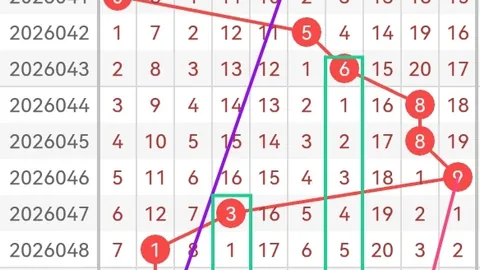 福彩3D第050期大乐透专家六码组选推荐分析