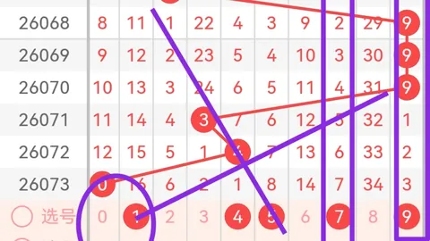 双色球第044期：连续六期精准杀八码，前区十码全中